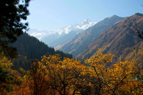 Жетысу. Фото Дамиры Нагумановой